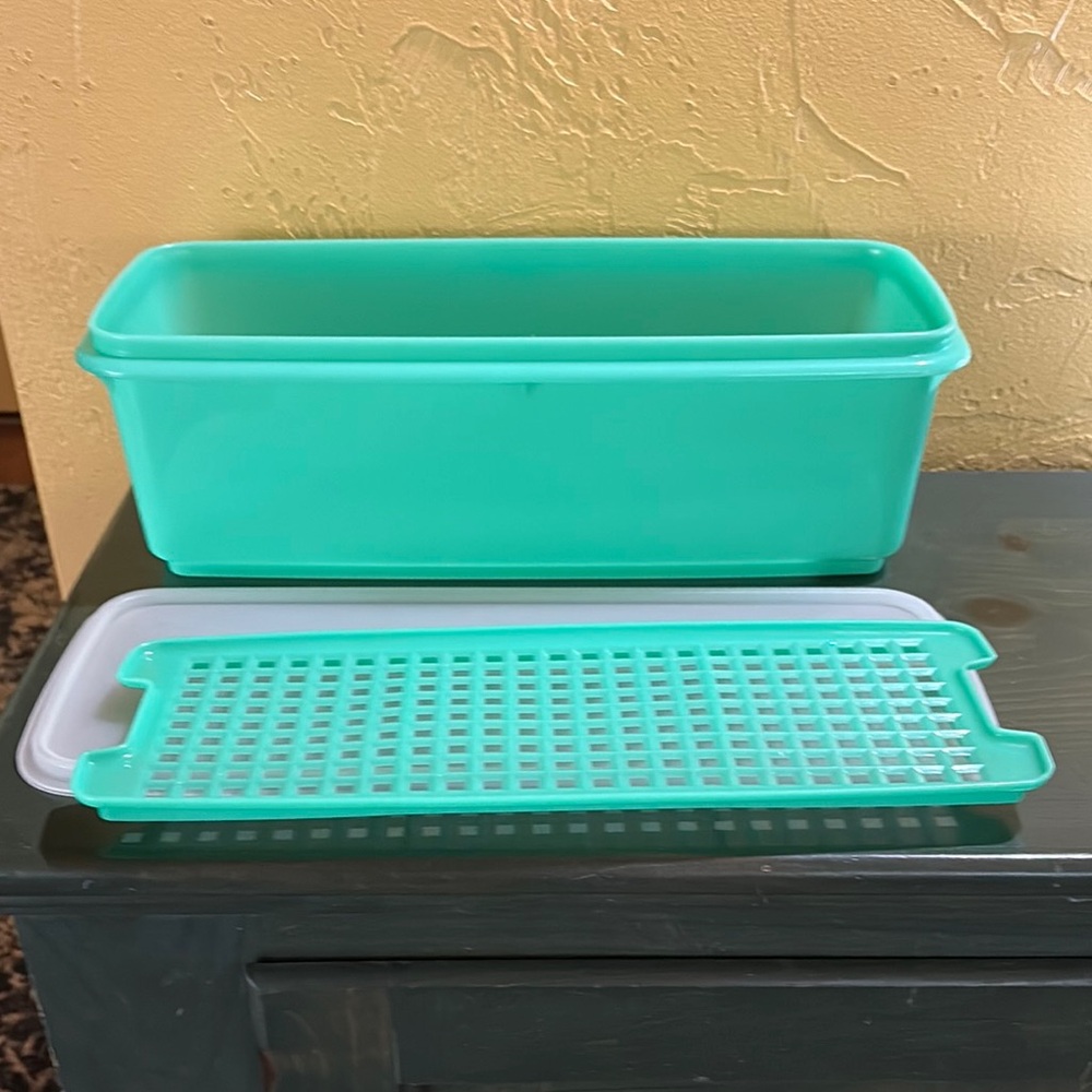 Vintage Retro Tupperware Mint Green 3 piece celery crisper